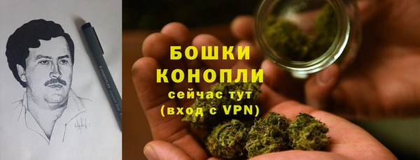 Альфа ПВП Майский