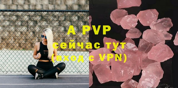 Альфа ПВП Майский