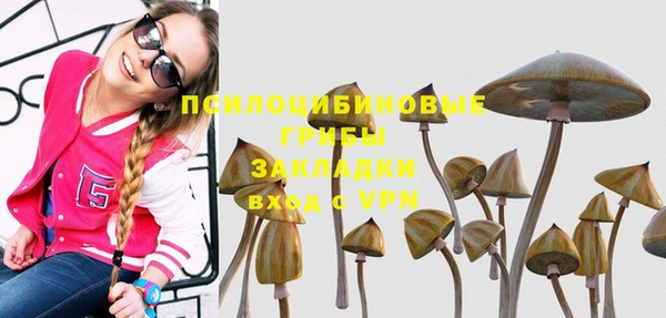 Альфа ПВП Майский