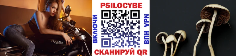 закладки  Пойковский  Галлюциногенные грибы прущие грибы 